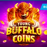 Buffalo Coins